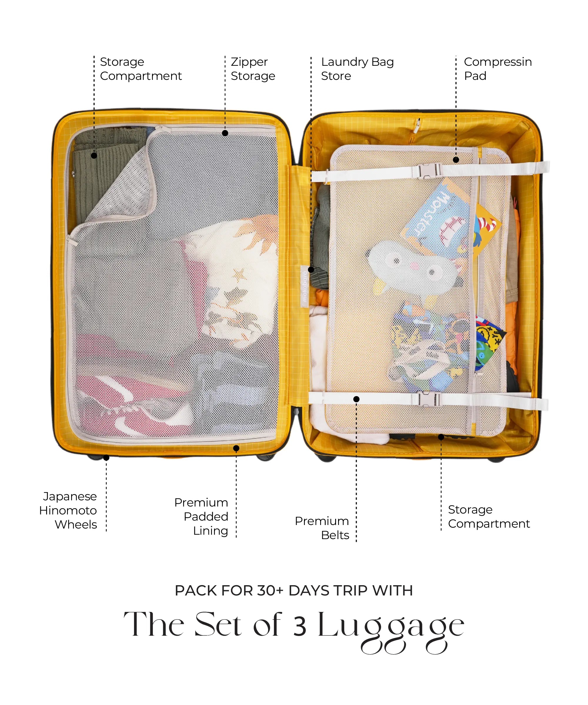 Color_Money Moves | Set of 3 Luggage