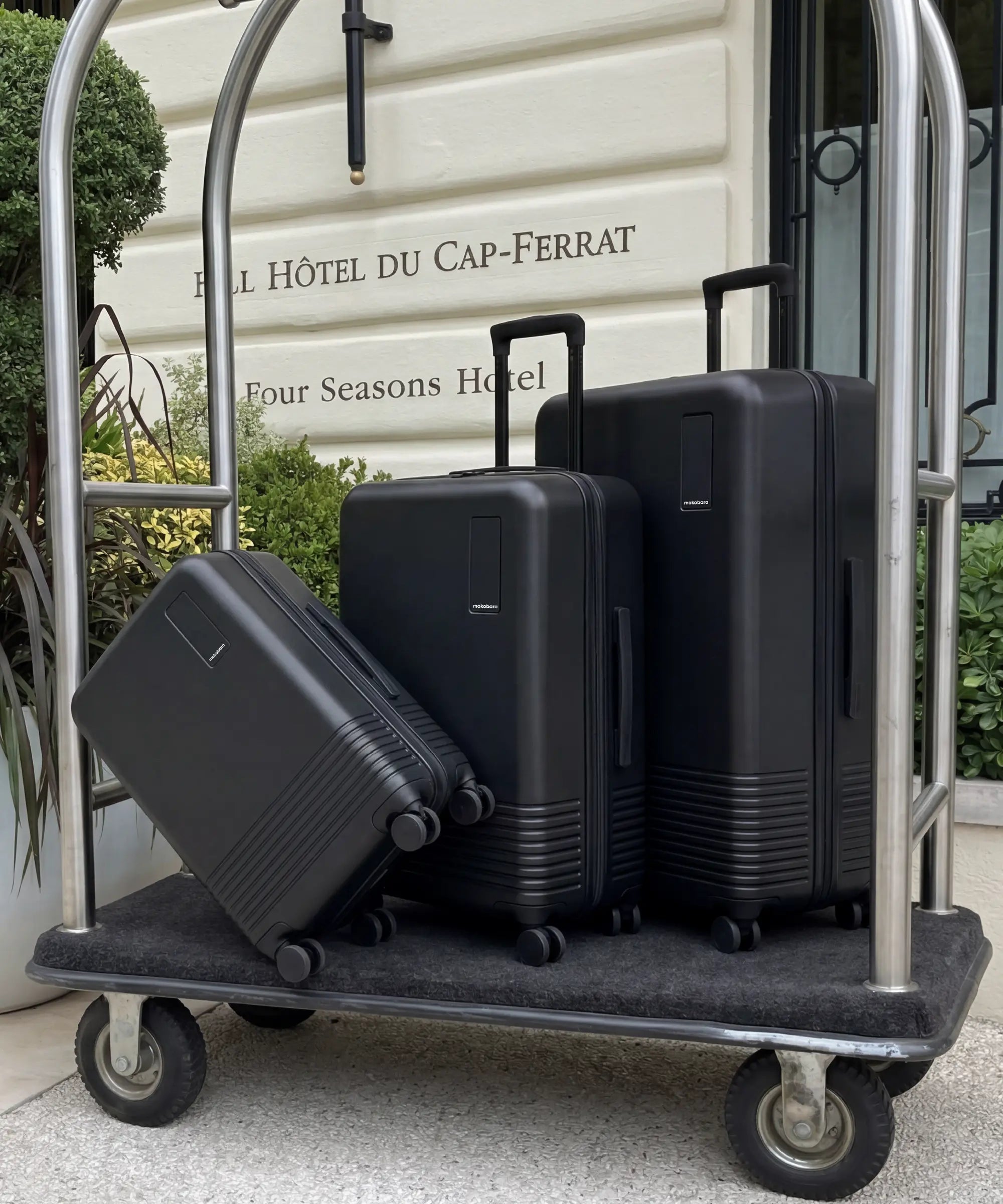 Color_Money Moves | Set of 3 Luggage