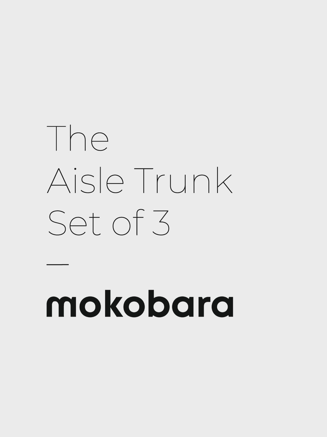 Color_Homegrown | The Aisle Trunk set of 3