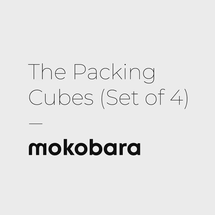 Color_Crypto | The Packing Cubes (Set of 4)