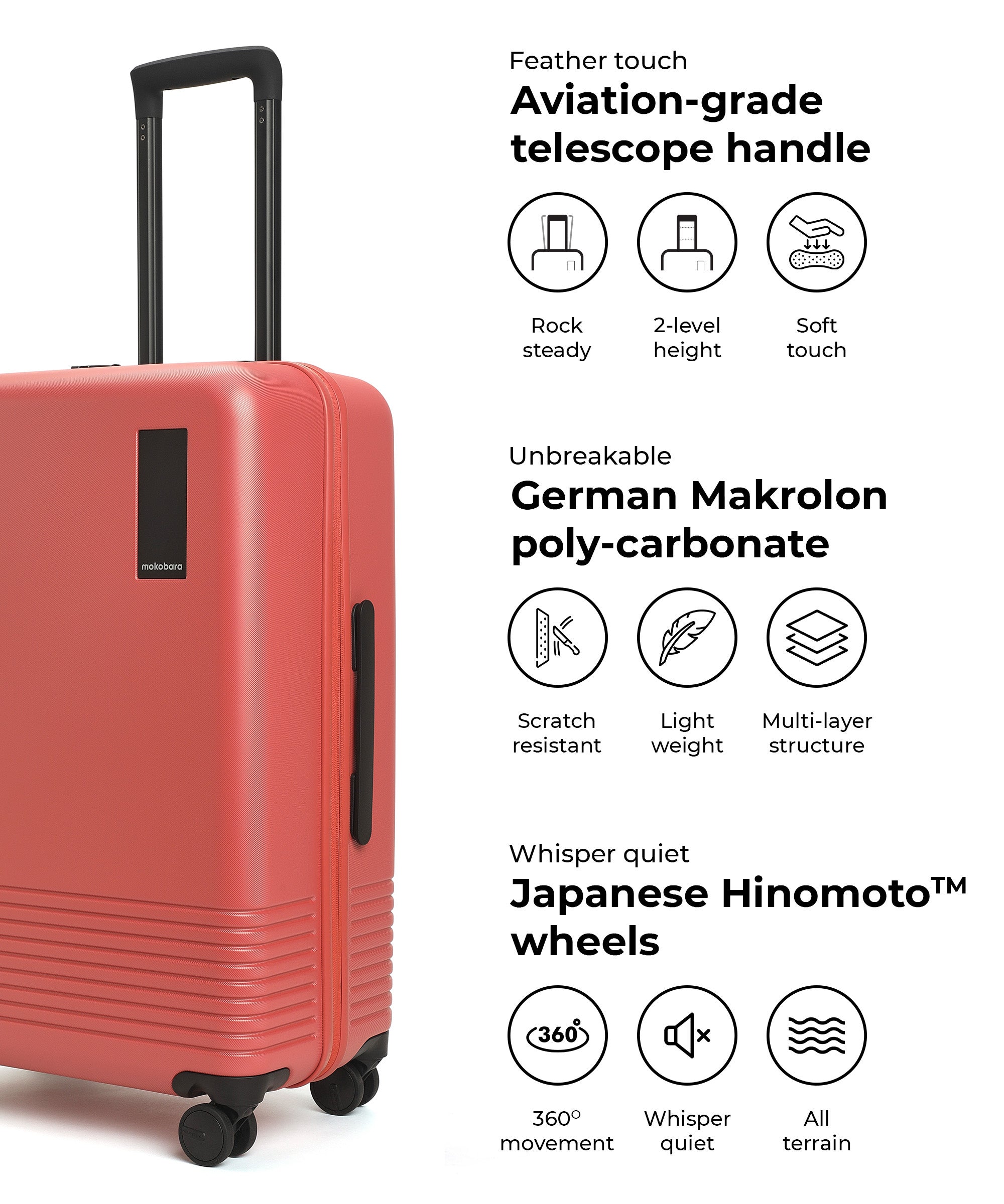 Color_New Standard (Limited Edition) | The Check-in Luggage