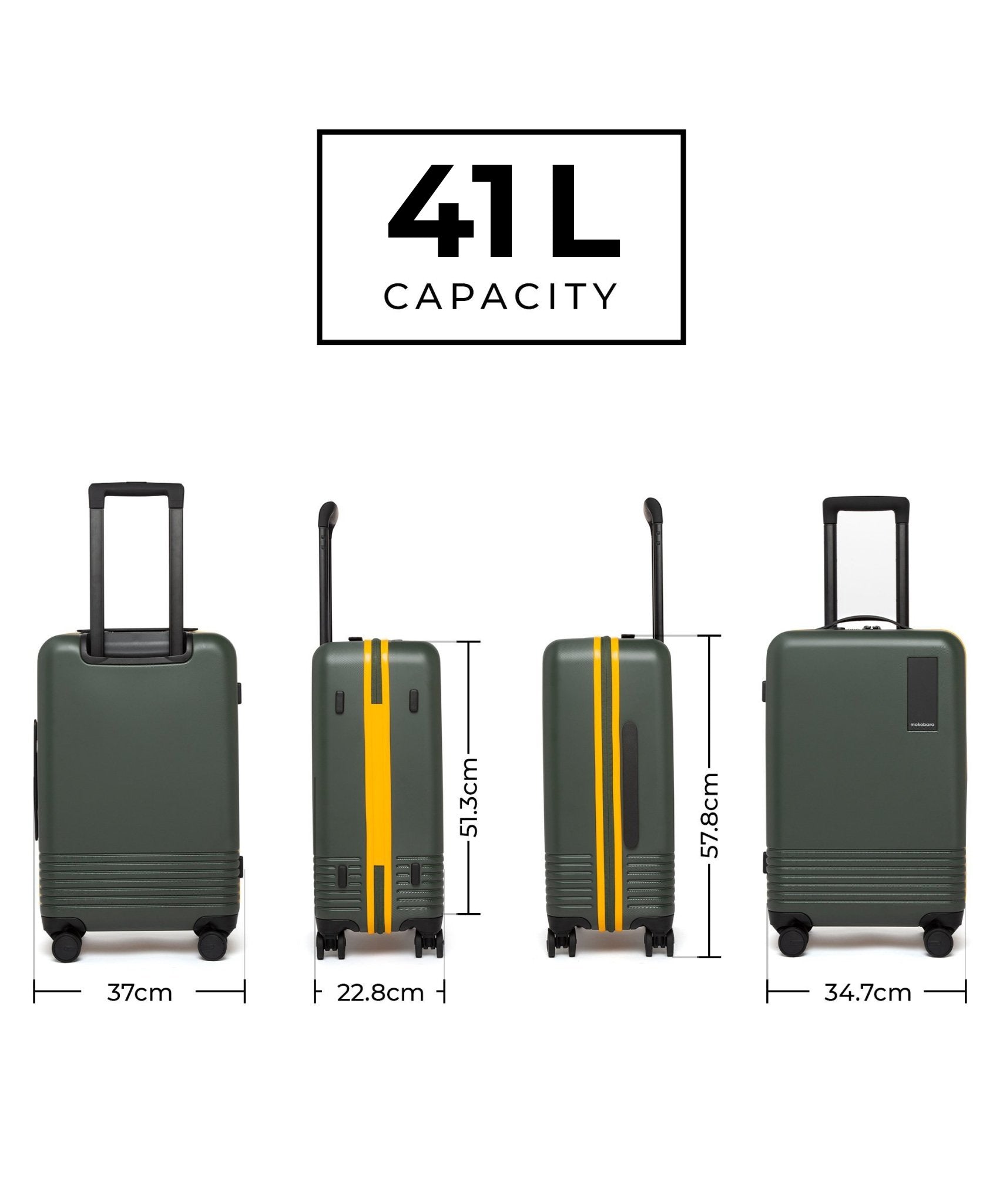 Color_Forest Sunray (Limited Edition) | Set of 3 Luggage