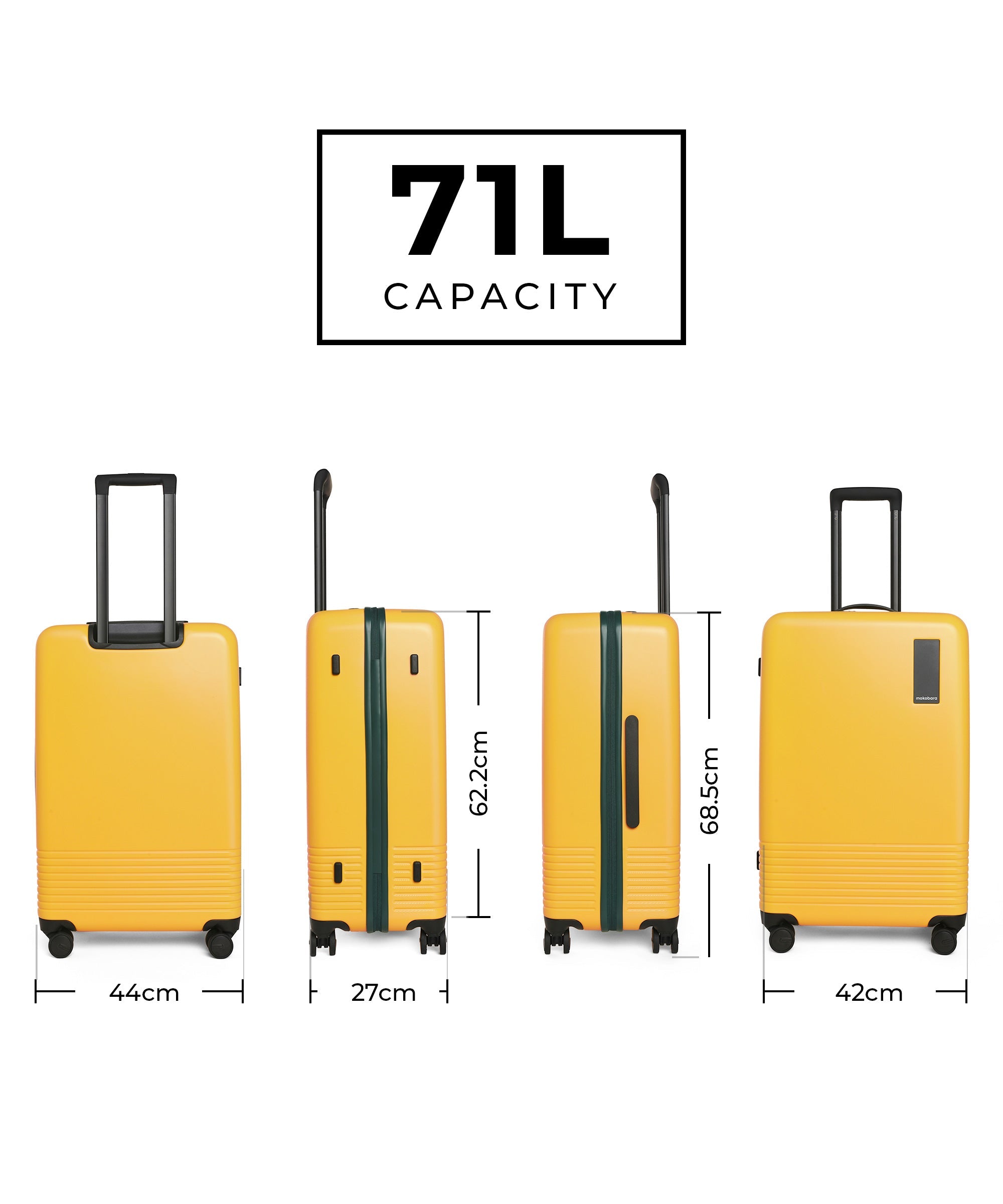 Color_Summer Greenray (Limited Edition) | The Check-in Luggage