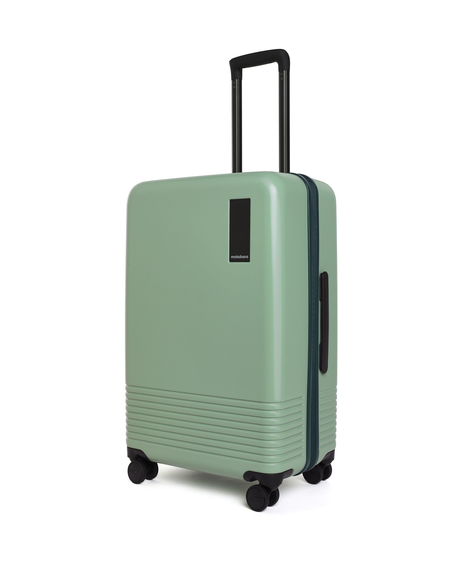 Color_Timeless Greenray (Limited Edition) | The Check-in Luggage