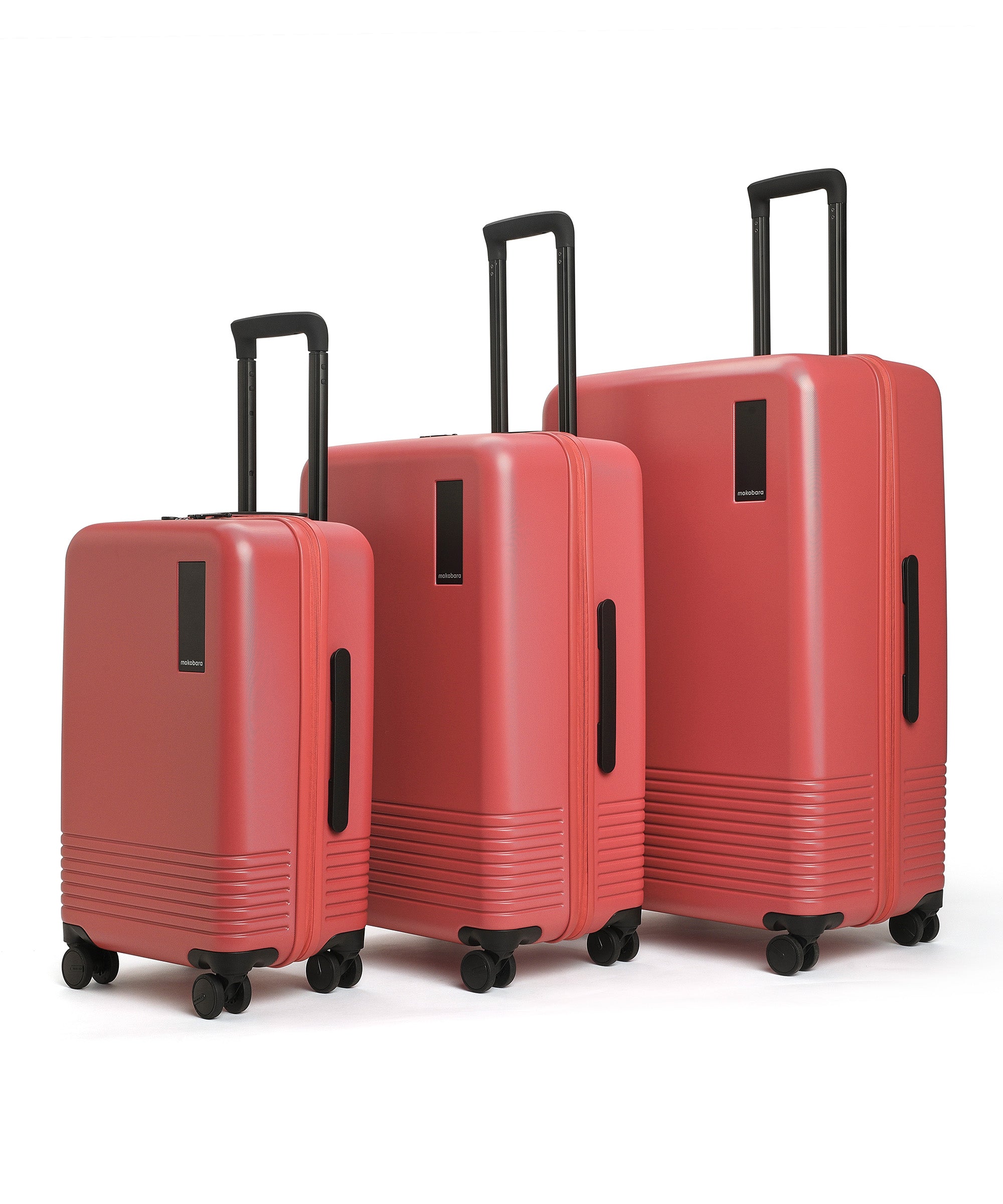 Color_New Standard (Limited Edition) | Set of 3 Luggage