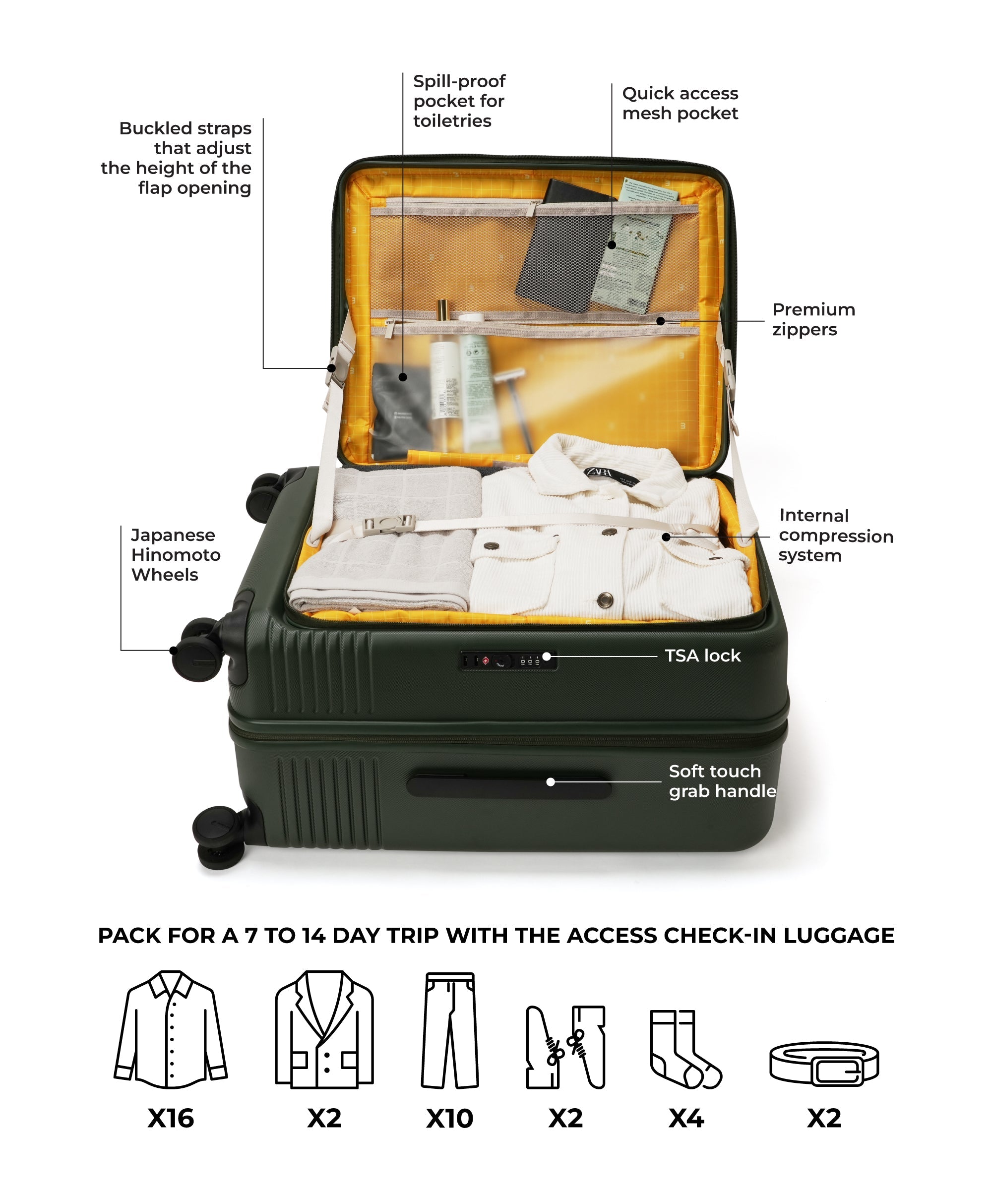 Color_Seaweed Green | The Access Check-in Luggage