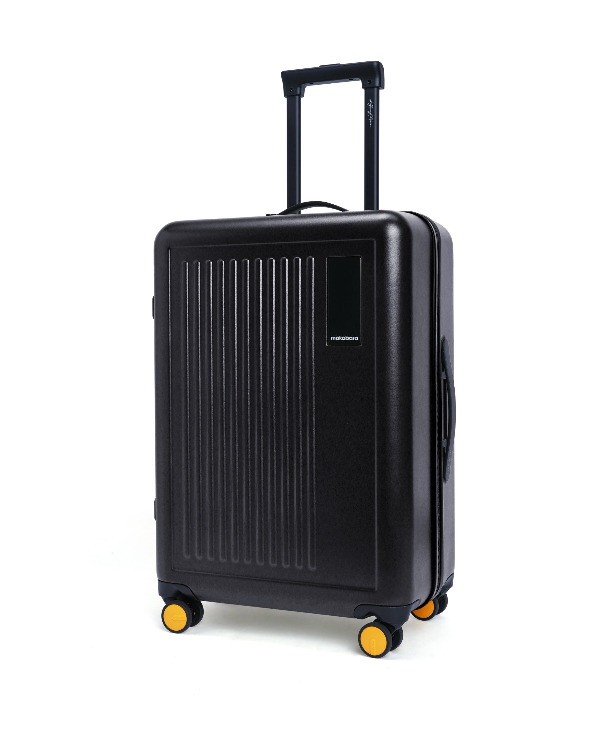 Color_Crypto | The Transit Luggage - Check-in