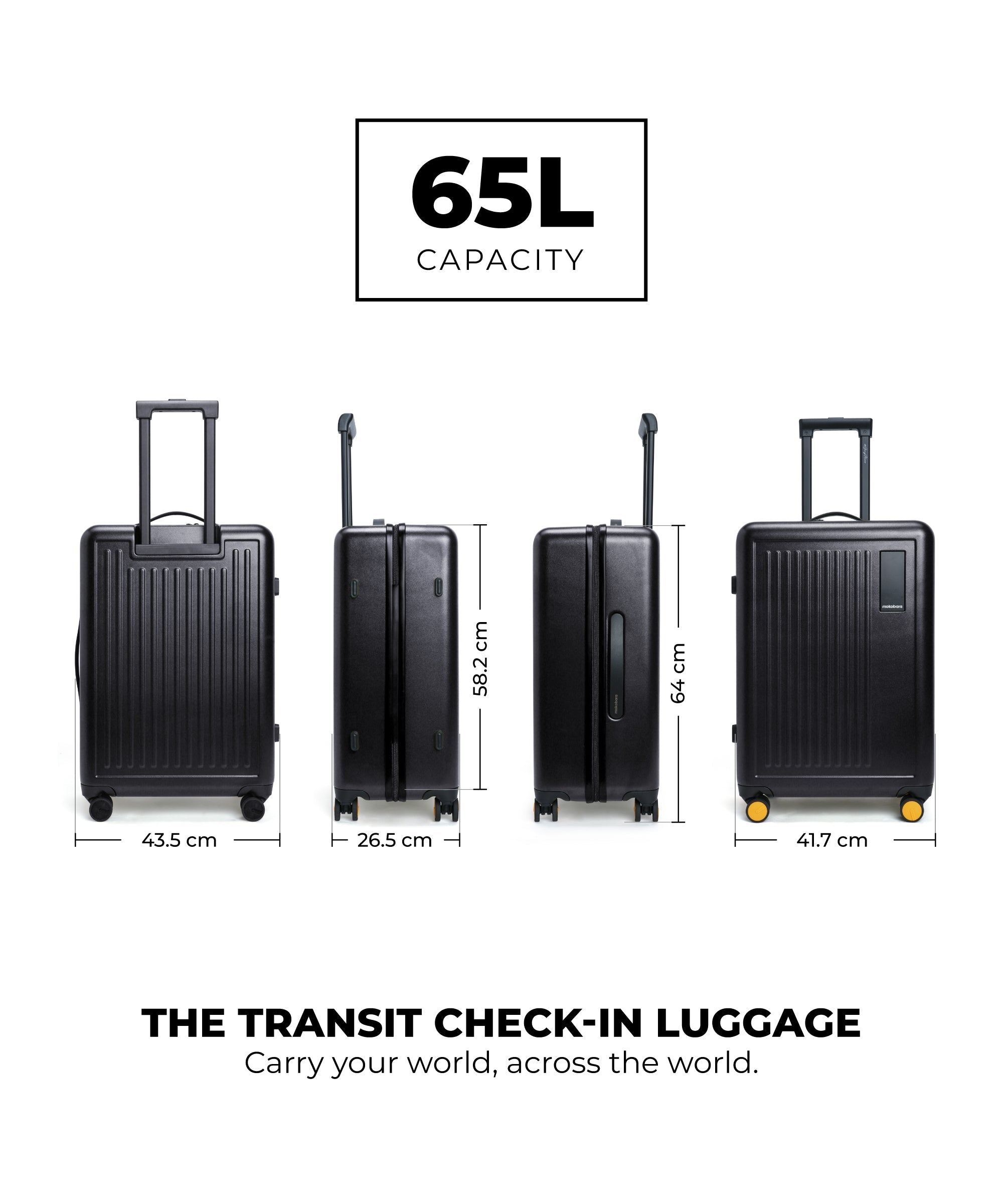 Color_Crypto | The Transit Luggage - Check-in