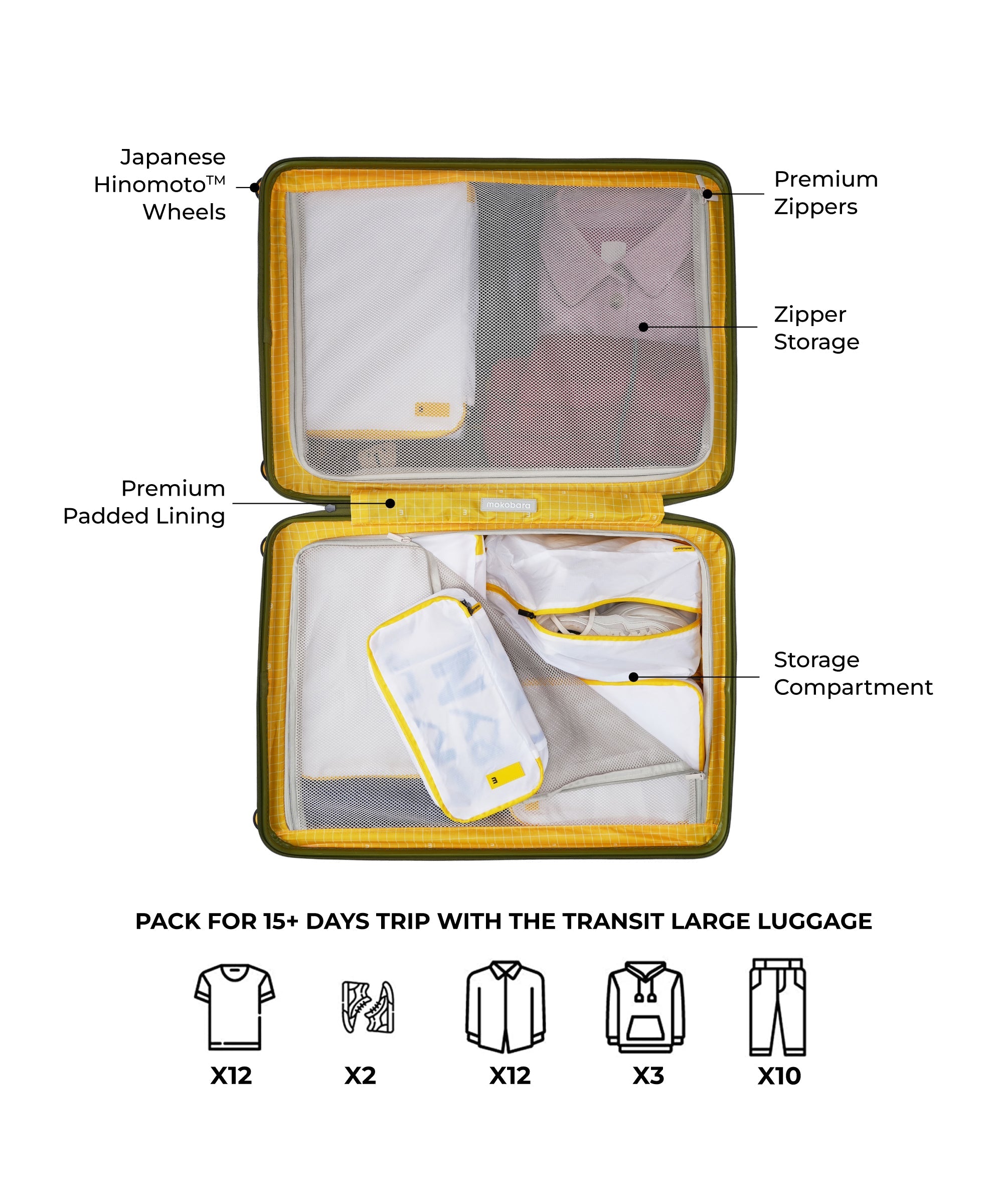 Color_Crypto | The Transit Luggage - Check-in Large