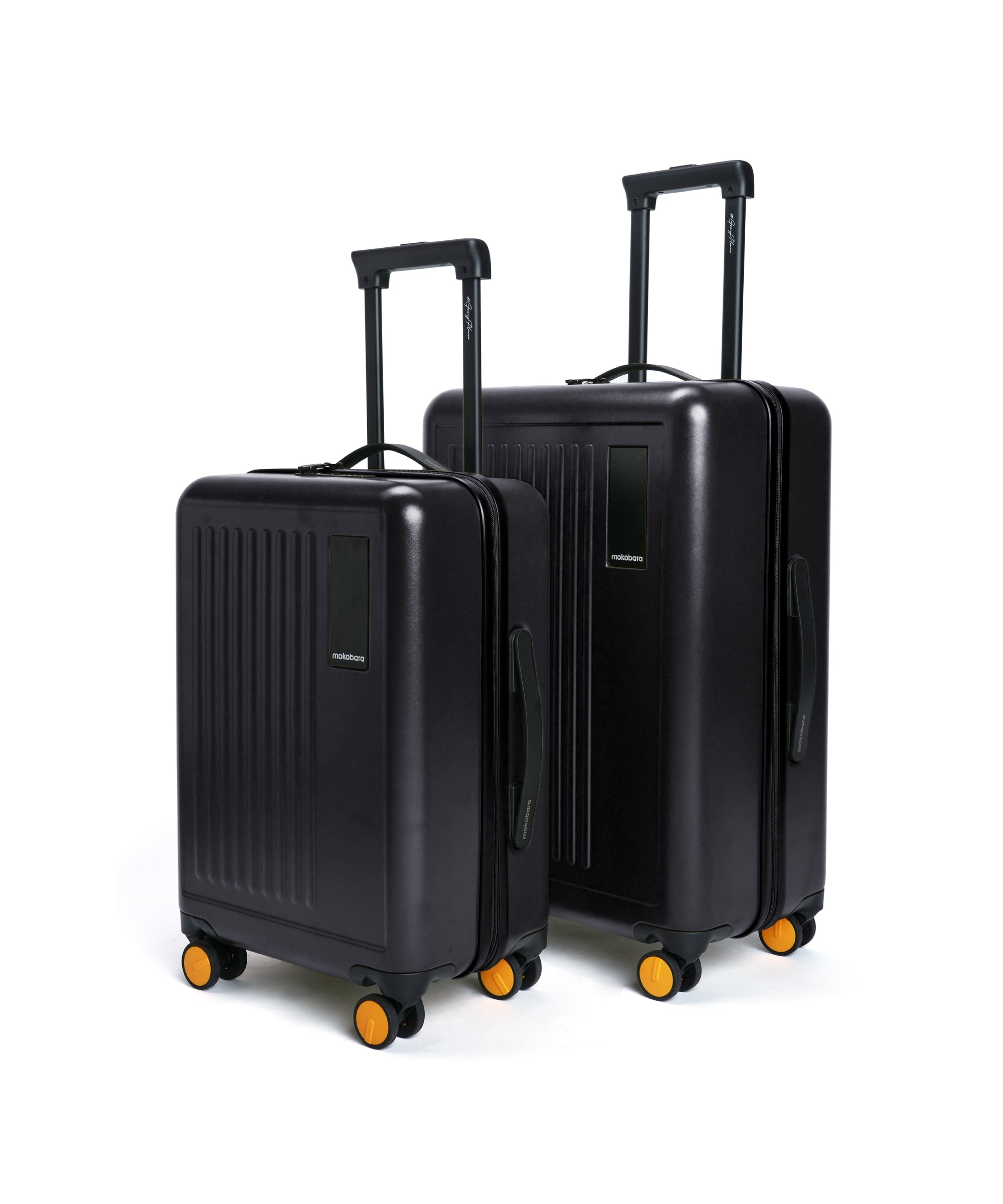 Color_Crypto | The Transit Luggage - Set of 2