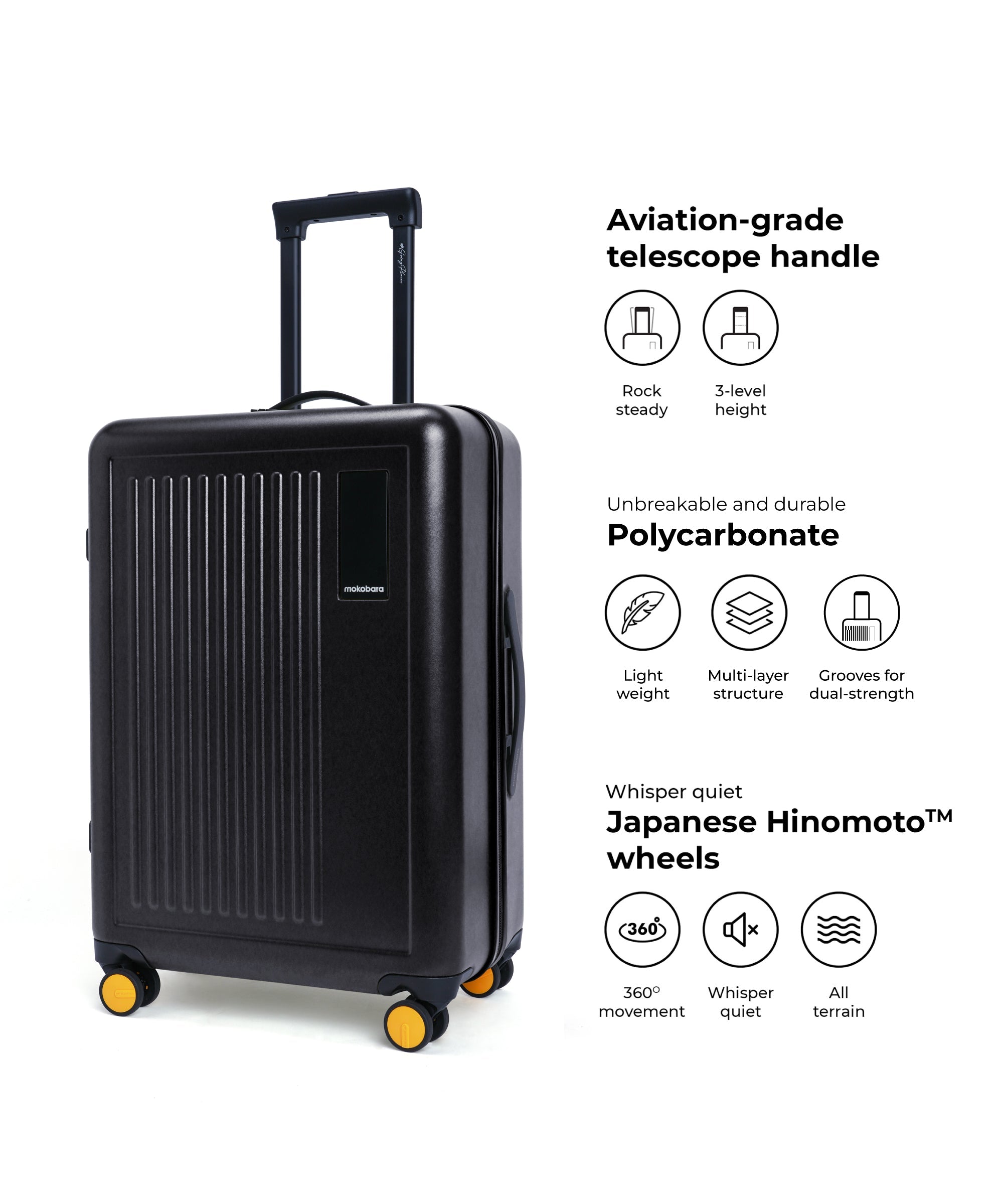 Color_Crypto | The Transit Luggage - Set of 2