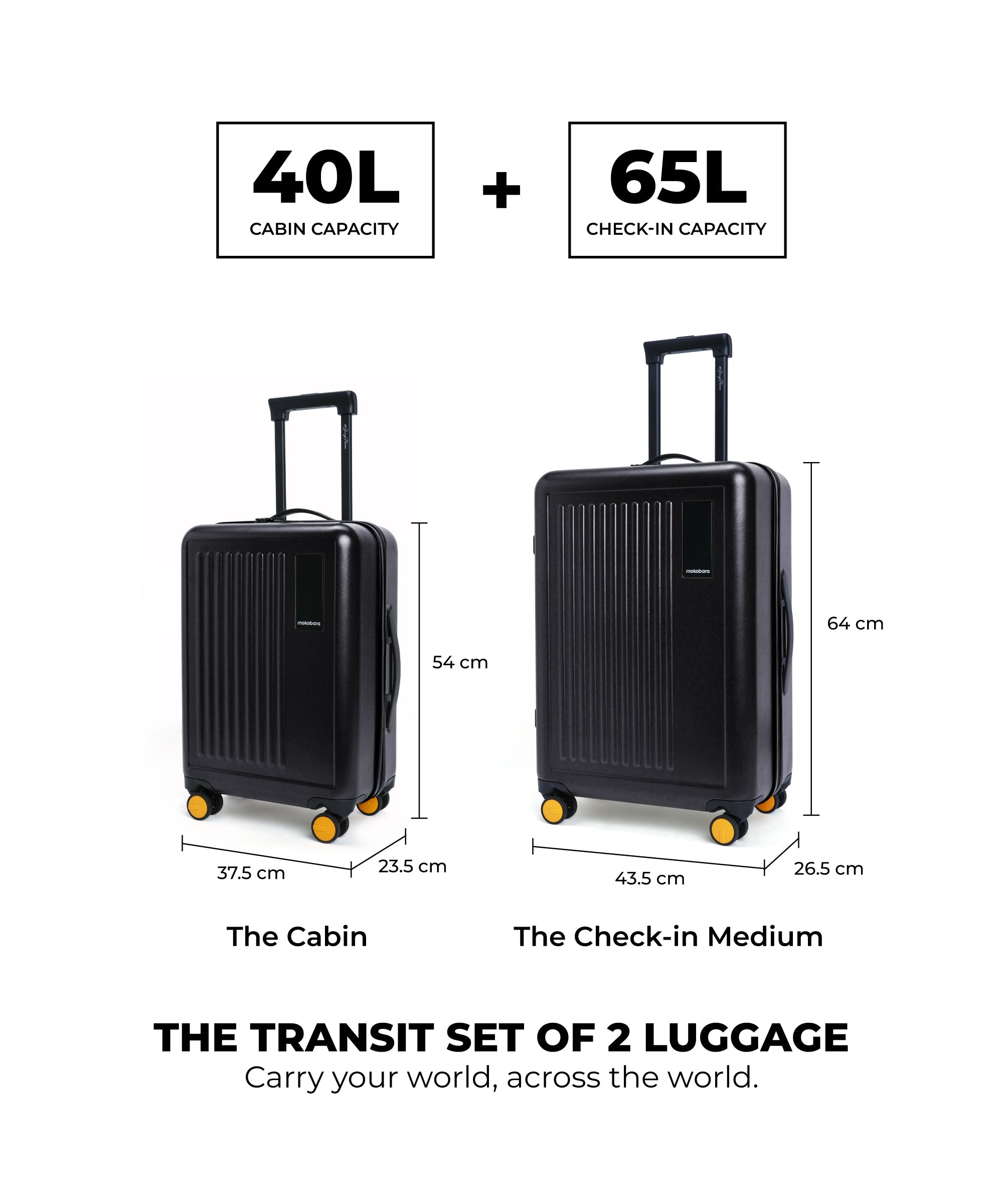 Color_Crypto | The Transit Luggage - Set of 2