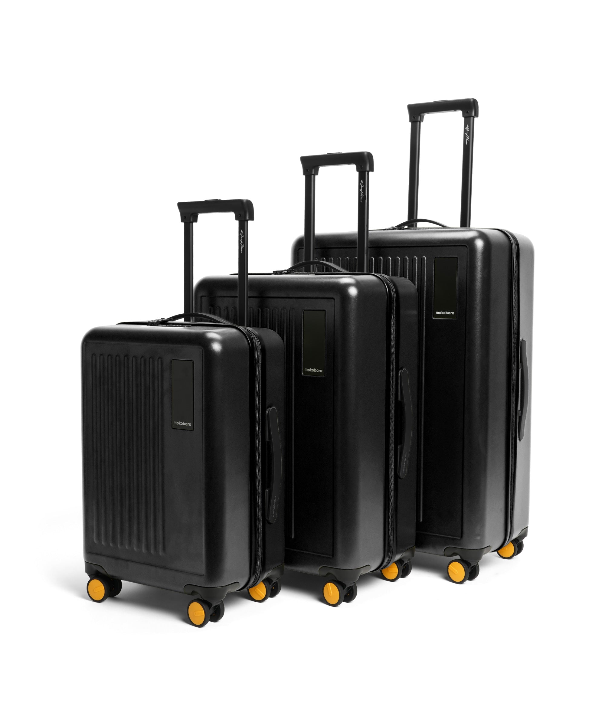 Color_Crypto | The Transit Luggage - Set of 3