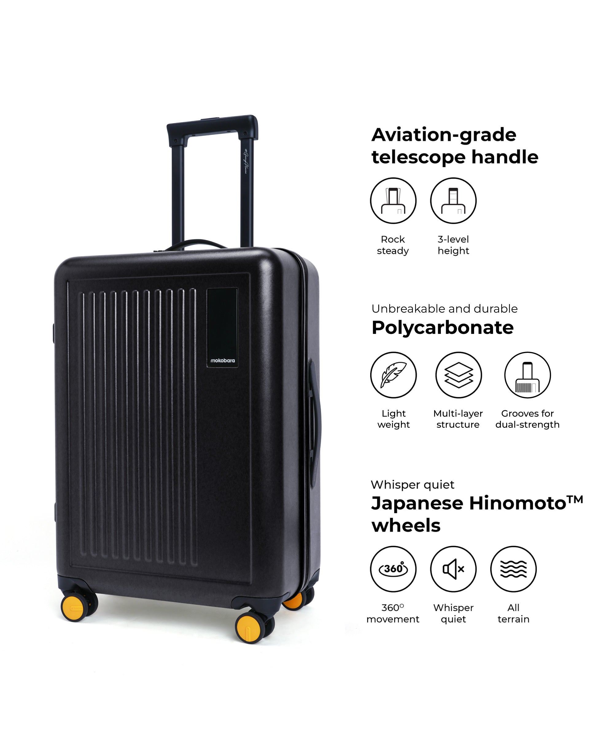 Color_Crypto | The Transit Luggage - Set of 3